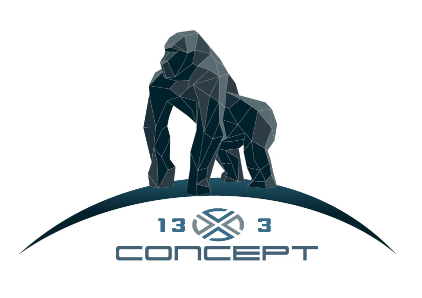 13.3 Concept