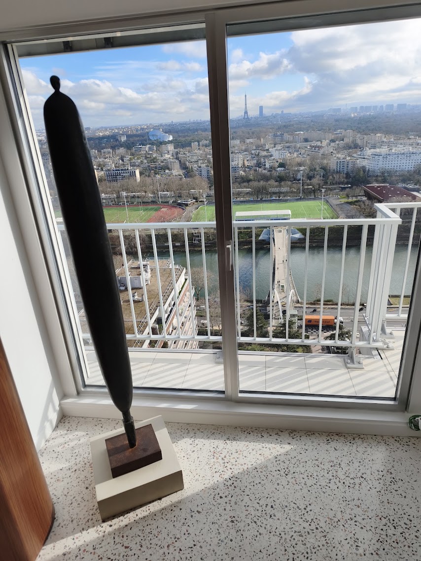 Sol terrazzo poli dans un séjour, vue sur Paris
